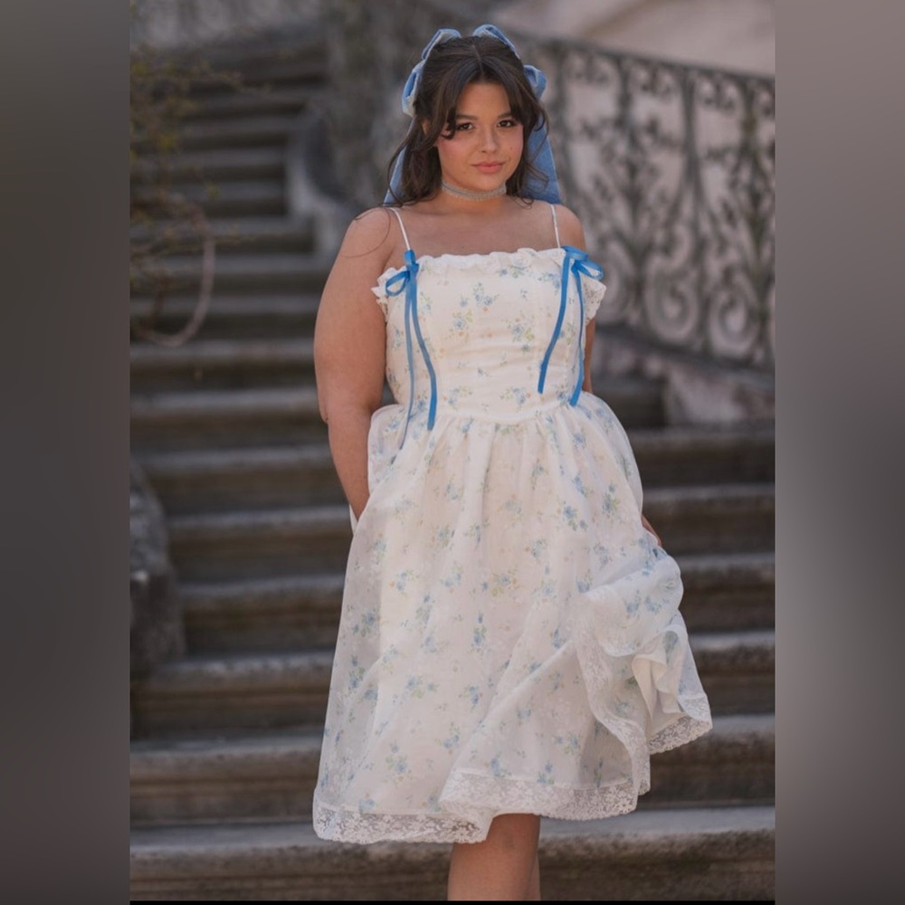 NWOT JessaKae Coquette Dress size 3x Floral White and Blue Dress
